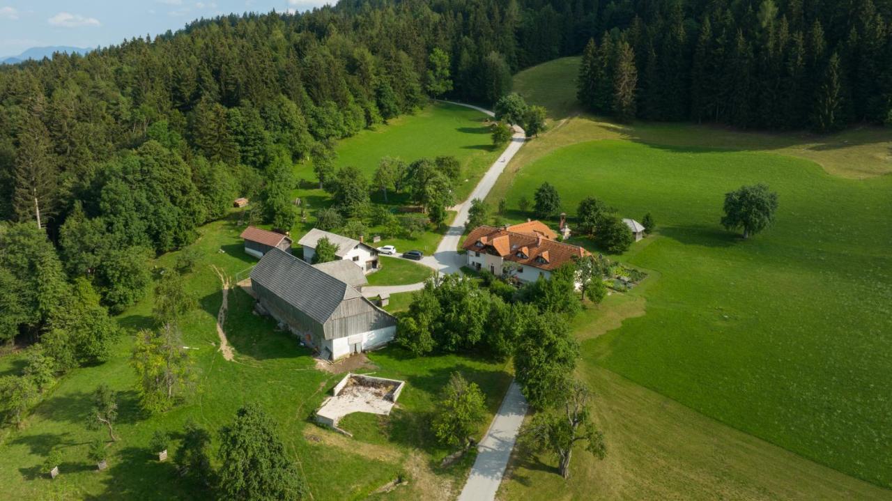 Eco Tourist Farm Ravnjak 슬로벤 그라데츠 외부 사진